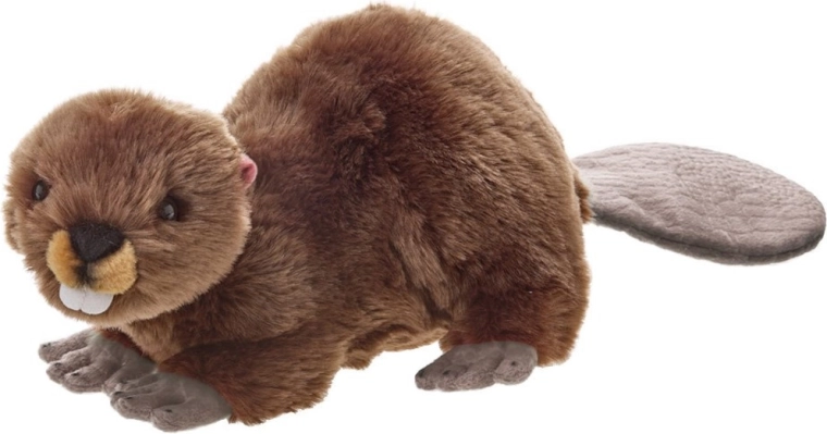 Plišasti bober 50 cm