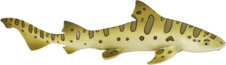 Safari Ltd. Leopard shark - 1 piece