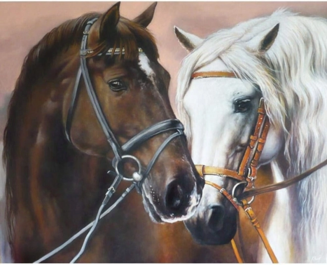 Kreativni komplet za diamantno slikanje – mozaik slika