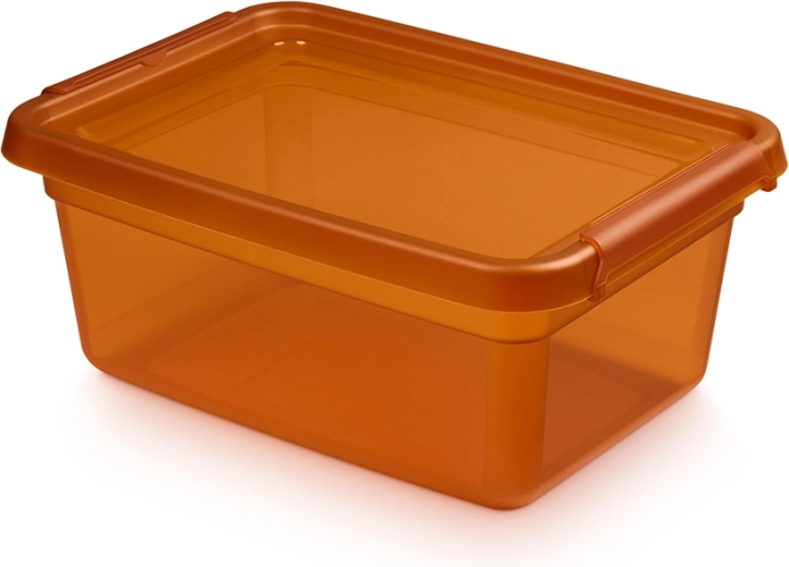 Basestore shranjevalna škatla s pokrovom in sponkami amber 12,5 l