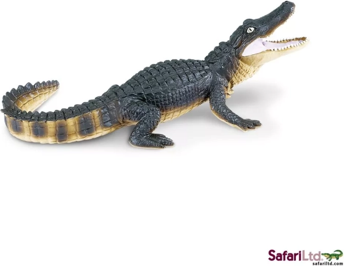 Safari Ltd. aligator - 1 kos