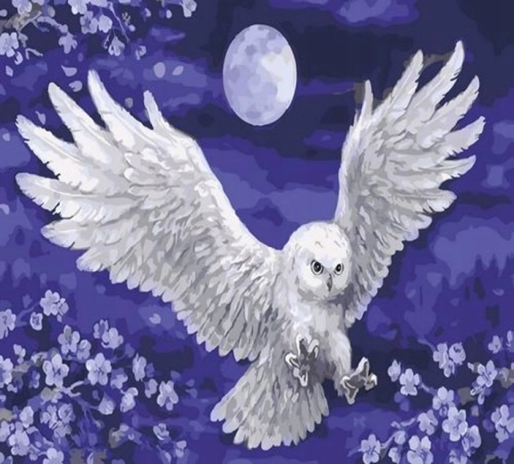 Norimpex slikanje po številkah Sova in luna 40 × 50 cm