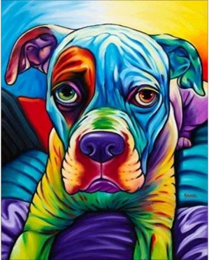 Slika za barvanje po številkah na okvirju 40 × 50 cm buldog – pisan pes