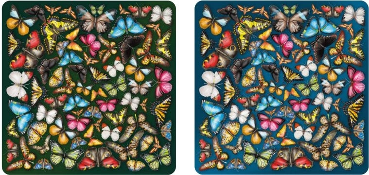 Dvostranske lesene sestavljanke Curiosi Double: metulji 165 koščkov