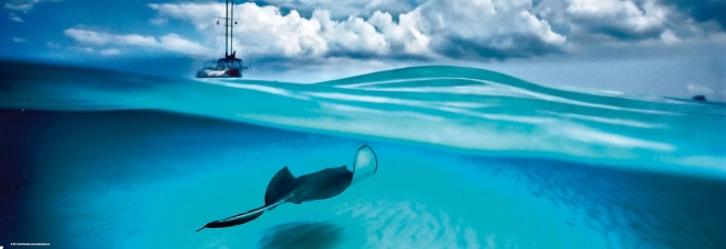 Panoramske sestavljanke Manta – Kajmanski otoki, 1000 koščkov