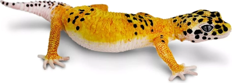 Safari Ltd. figurica nočnega gekončka