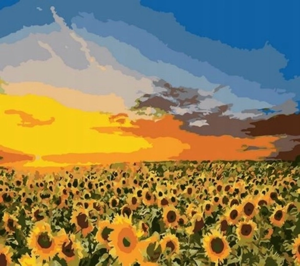 Norimpex slikanje po številkah Sončnice na polju 40 × 50 cm