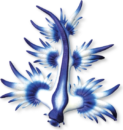 Bullyland modri morski polž figurica