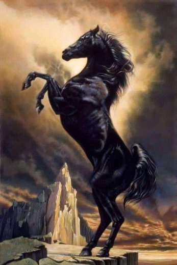 Norimpex diamond painting Rearing Horse 30 × 40 cm