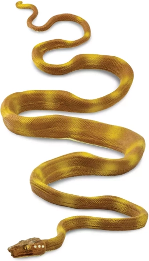 Psohlavec orinoco (Safari Ltd.)