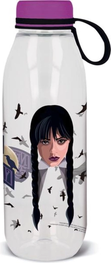 Steklenička Ecozen Wednesday 650 ml