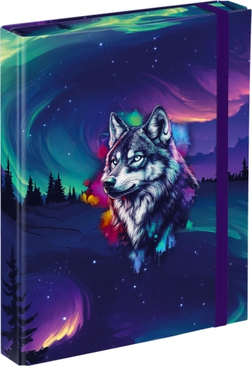 Mape za šolske zvezke A5 Baagl Aurora