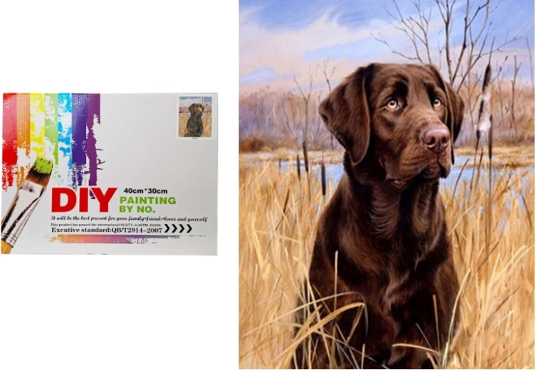 Slikanje po številkah – pes v trstičju