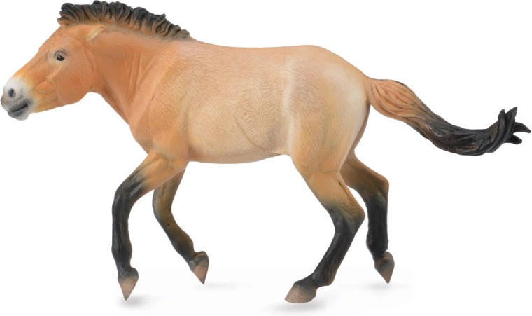 Plastic Figure of Przewalski's Horse