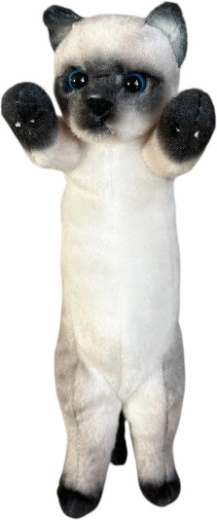 Plišasta mačka siamese 25 cm - 1 kos