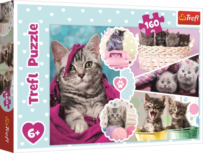 Trefl Cute Kittens 160-Piece Puzzle