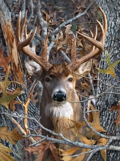 Diamantno slikanje – jelenov pogled 30 × 40 cm