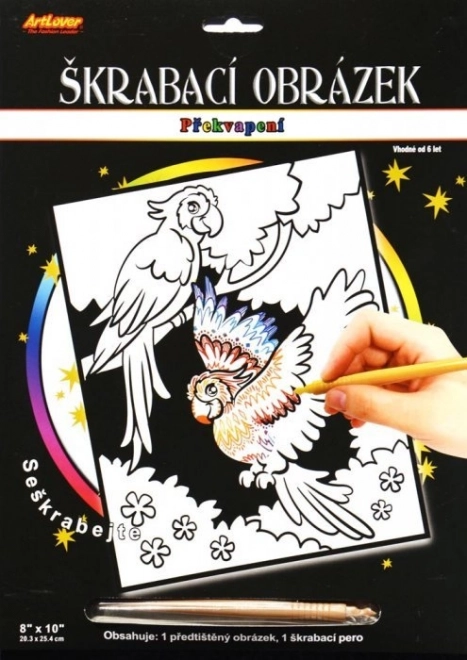 Praskana slika s presenečenjem Dva papagaji 20x25 cm