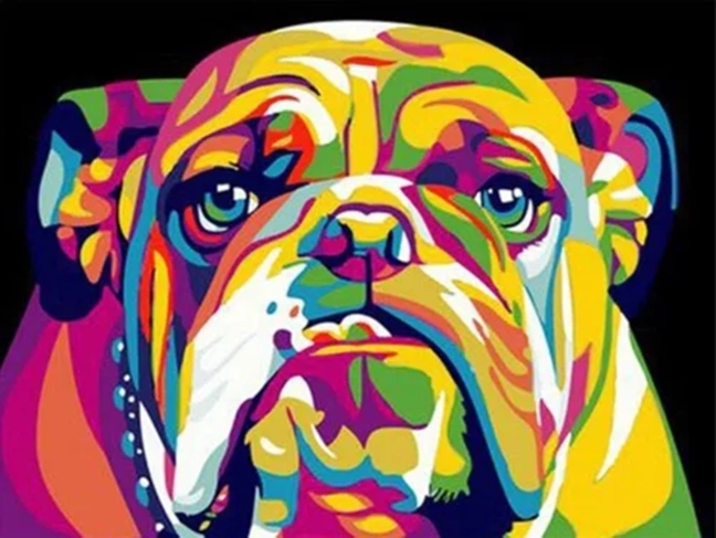 NORIMPEX Slikanje po številkah Pisani buldog 40 × 50 cm