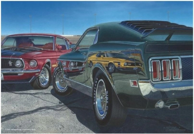 ANATOLIAN Sestavljanka Hitrost 500 kosov