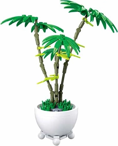 Sluban roža v lončku – zelena palma