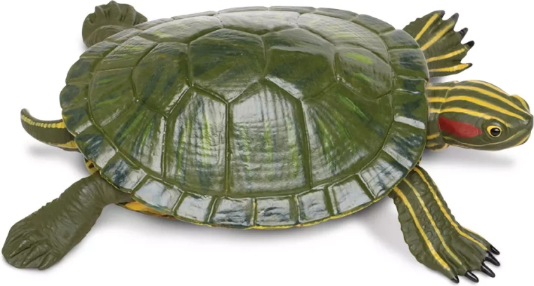 Figurica okrasne želve Safari Ltd. – 1 kos
