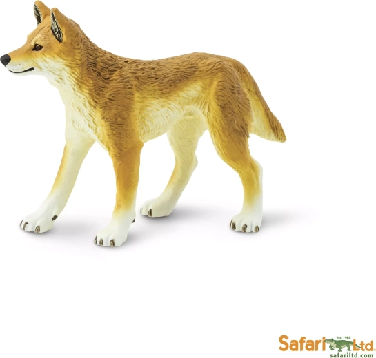 Safari Ltd. dingo - 1 kos