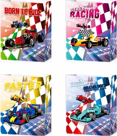 Darilna vrečka za fante M