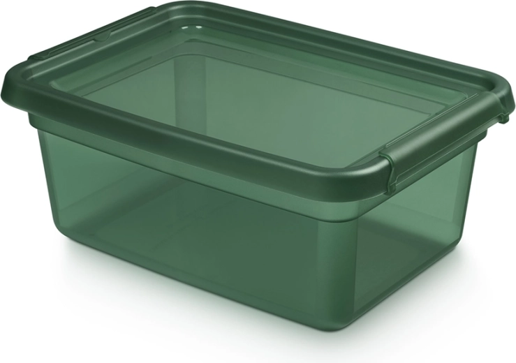 Basestore shranjevalna plastična škatla s pokrovom in sponkami PINE 12,5 l