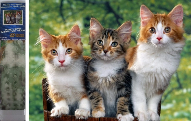 Norimpex Diamantno Barvanje Mačk 30x40 cm