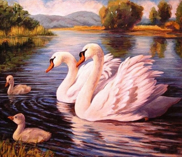 Norimpex Barvanje po številkah Labodi 40 × 50 cm