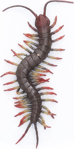 Velikanska gumijasta stonoga 23 cm