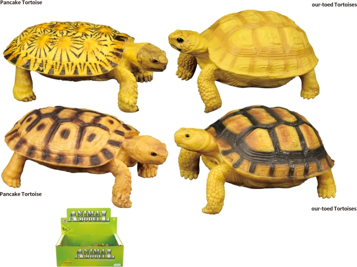 Živalski svet – igrača želva, 4 vrste