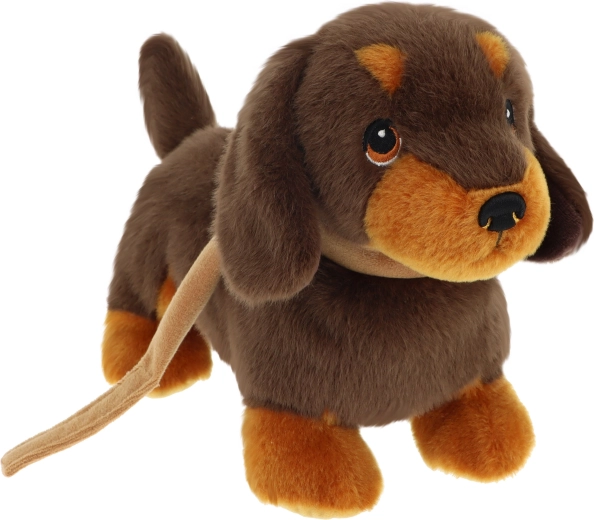 Keeleco jazbečar mladiček na povodcu 23 cm