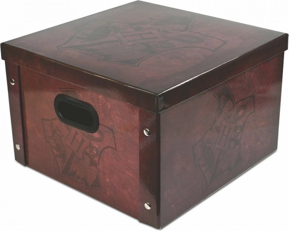 Skladiščna škatla Harry Potter - Bradavičarka