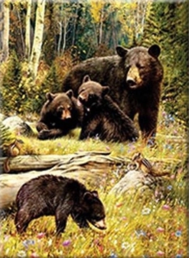 Diamantno slikanje – Medvedi na jasi 30 × 40 cm