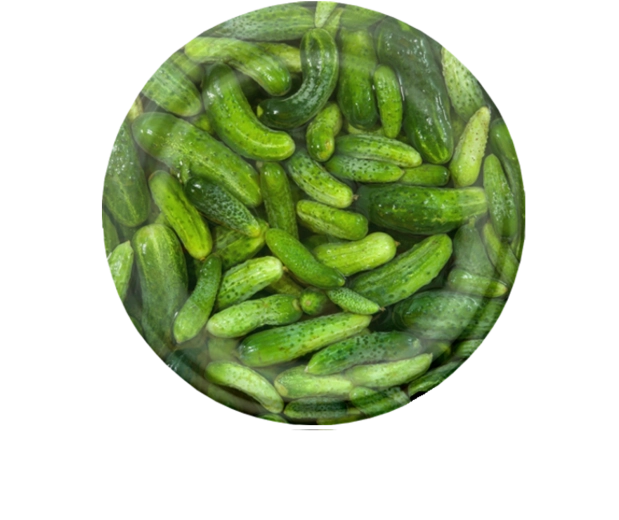 Komplet pokrovčkov za vlaganje 82 mm z motivom kumar, 6 zobcev, 10 kos