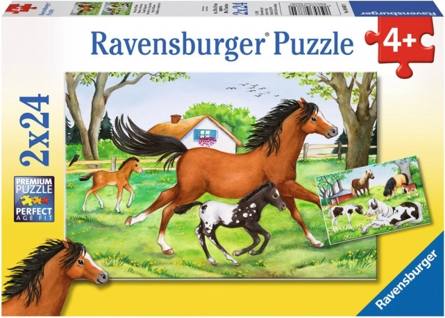 RAVENSBURGER puzzle svet konj 2×24 koščkov