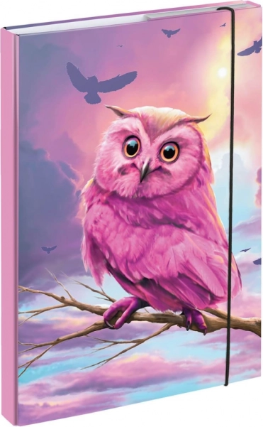 Mape za šolske zvezke A4 z motivom sove BAAGL