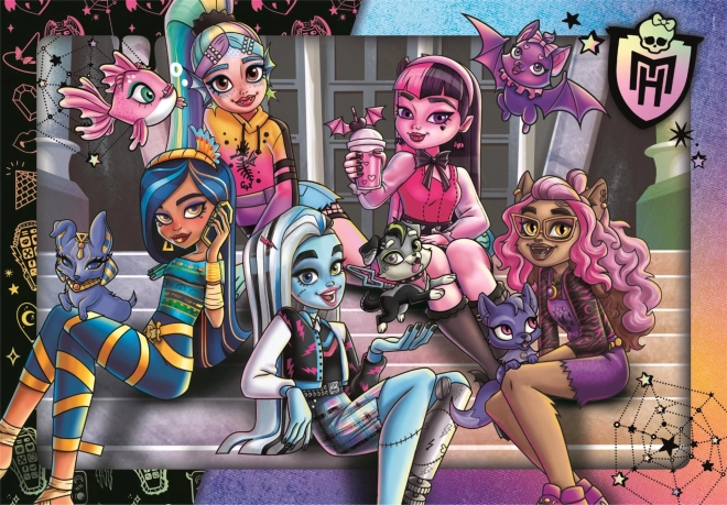 Sestavljanka Monster High 180 kosov