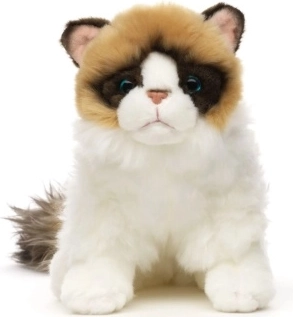 Plišasta mačka ragdoll, 23 cm