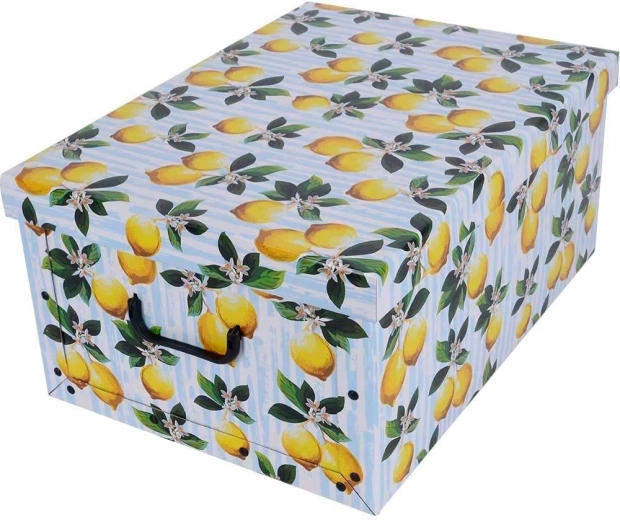 Kartonasta shranjevalna škatla Maxi – limone