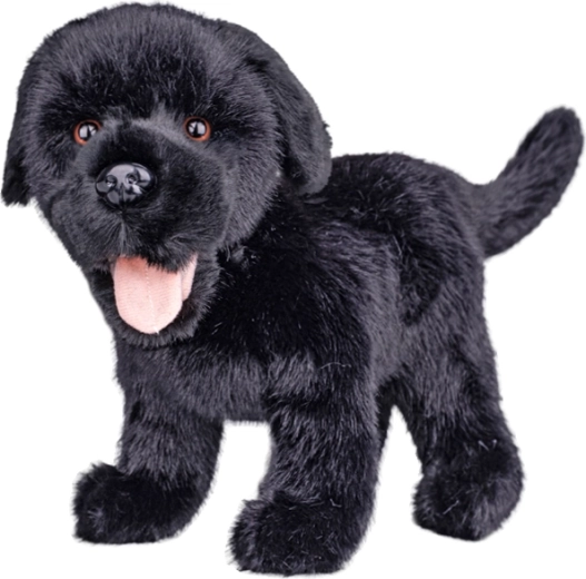 Plišasti labradorec črn 23 cm - 1 kos