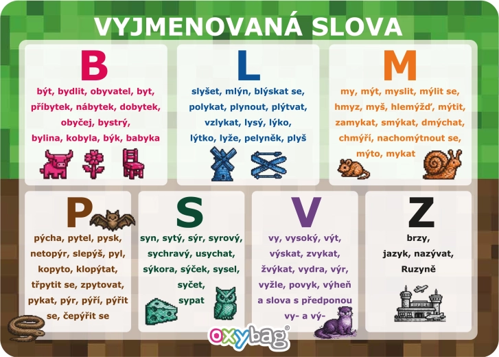PlayWorld izobraževalna kartica A4 – vyjmenovaná slova