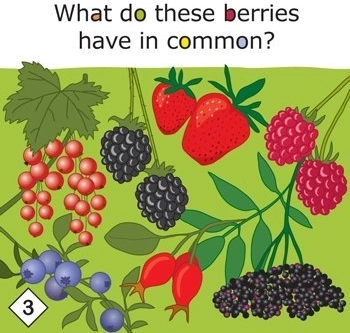 Yummy! izobraževalna igra o zdravem prehranjevanju za otroke od 3 let