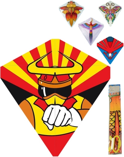 Leteči zmaj s sliko 60 × 66 cm – 1 kos