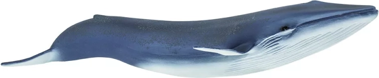 Safari Ltd. figurica modrega kita