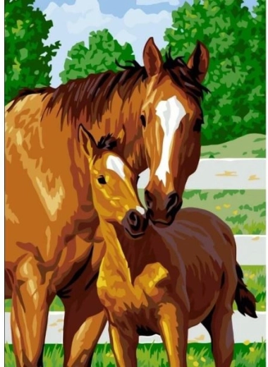 Diamond mosaic (diamond painting) cute foal 30 × 40 cm