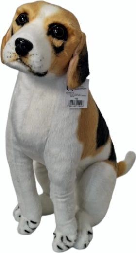 Plišasti pes beagle - 1 kos