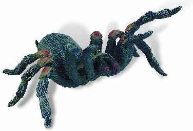 Tarantule